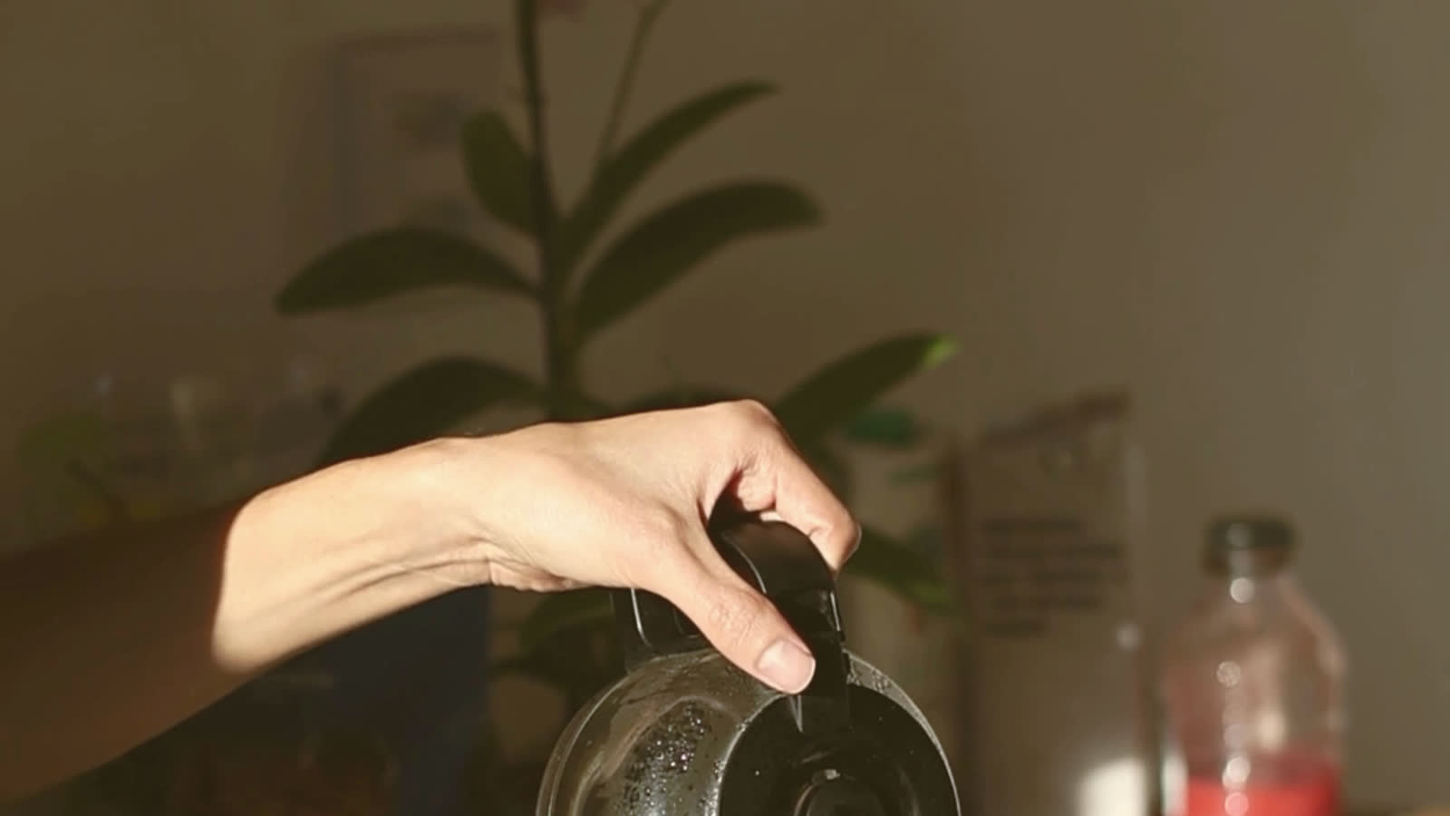 The still that carried "i wait for the light"