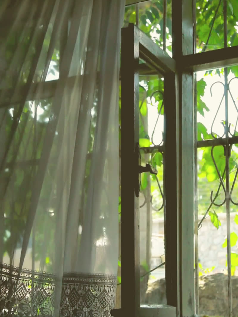 The still that carried "i open the window first"