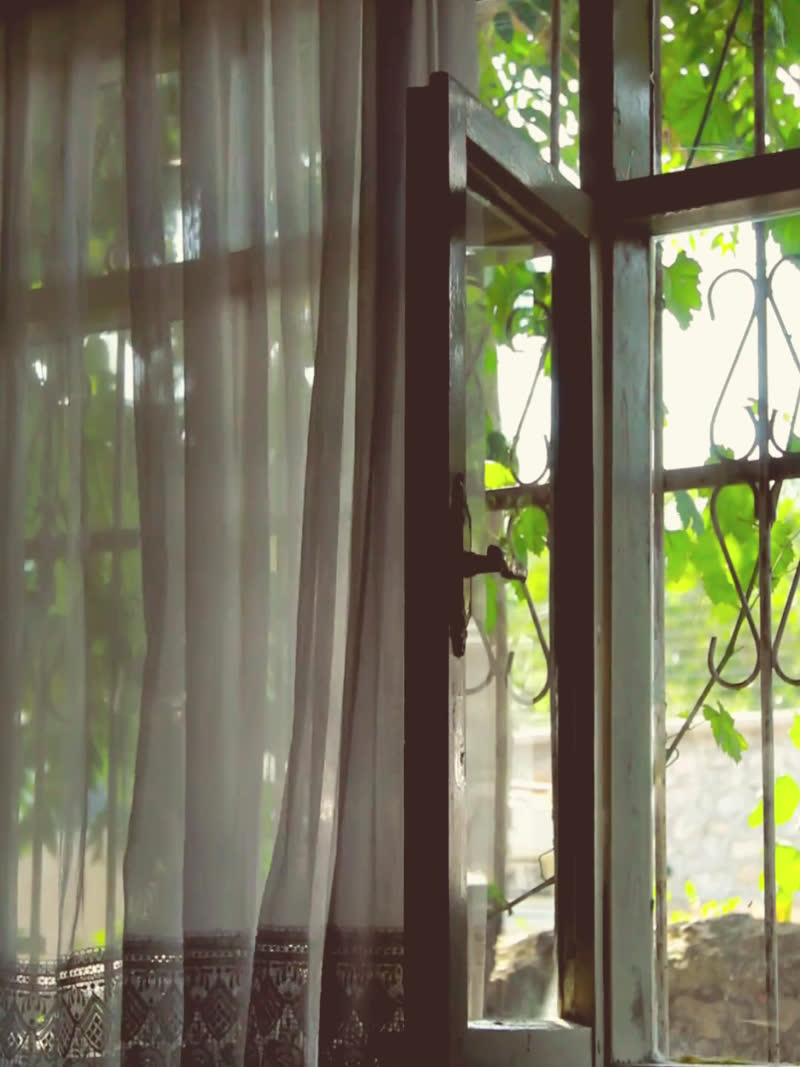 The still that carried "i open the window first"