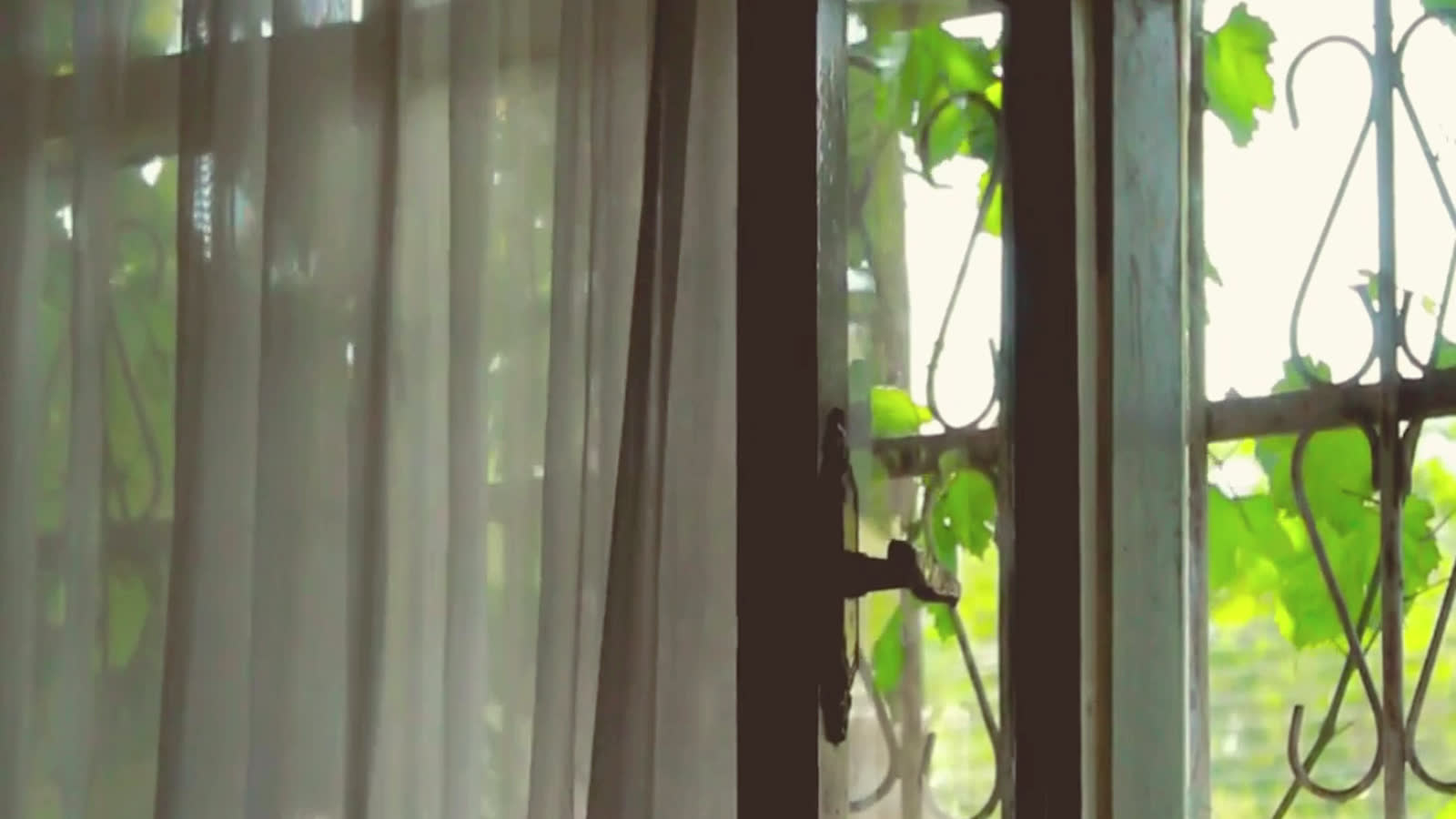 The still that carried "i open the window first"