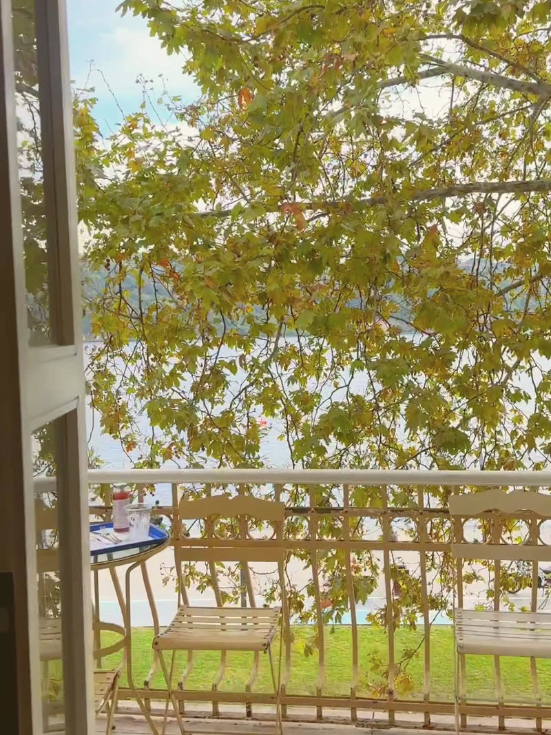 The still that carried "the breeze rearranges the room"